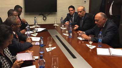 تفاصيل اجتماع وزير الخارجية ونظيره الإثيوبي لبحث تطورات “سد النهضة”