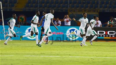 السنغال تضرب شباك تنزانيا بهدف “بالدي” (فيديو)