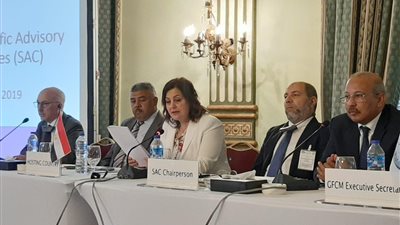 الزراعة: 80% من إنتاج مصر السمكي من الاستزراع.. والمسطحات الطبيعية ضعيفة الإنتاجية