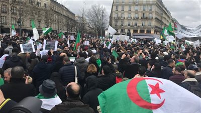 رفع شعارات سياسية.. تفاصيل ترحيل مشجع جزائري من مصر بعد احتجازه