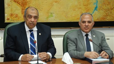 الأرز والأقفاص السمكية وجزيرة الدهب.. تفاصيل الاجتماع الـ19 للجنة التنسيقية بين الري والزراعة