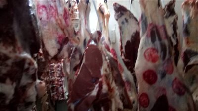 تحرير 2733 مخالفة تموينية وإصدار 10 آلاف بطاقة بالبحيرة خلال يوليو