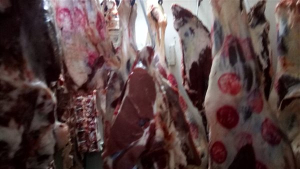 حملات تموينية بالبحيرة