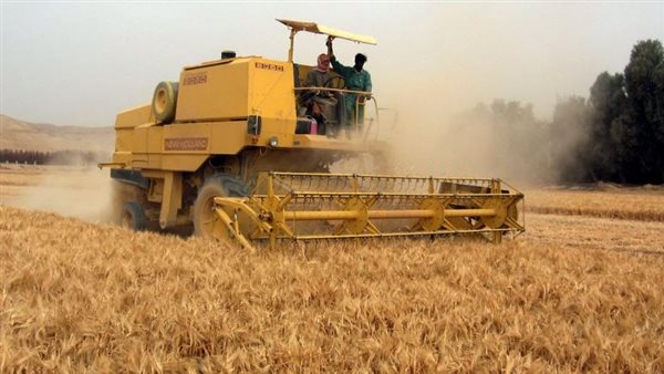 3.8 % من مساحة مصر