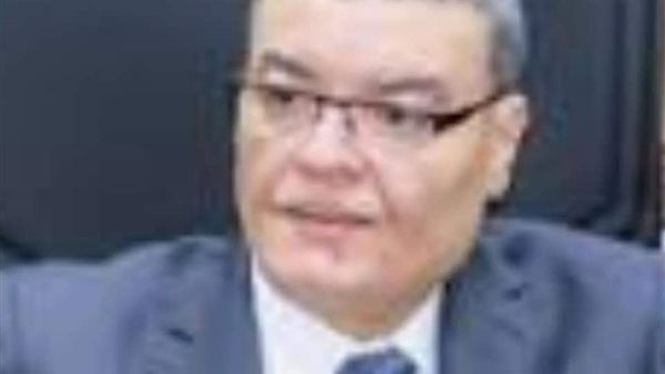 محافظ المنيا