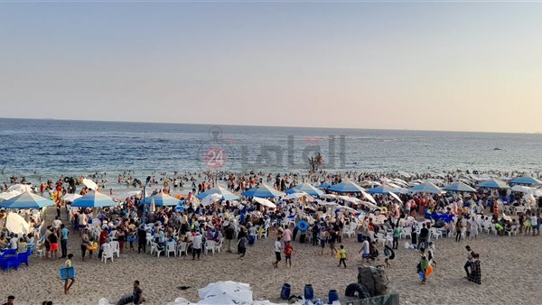 شواطئ الإسكندرية