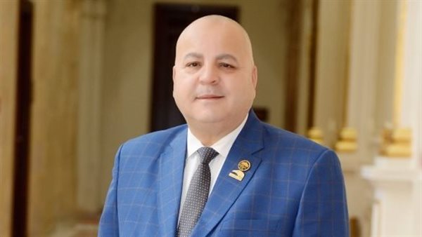  النائب أسامة الأشموني