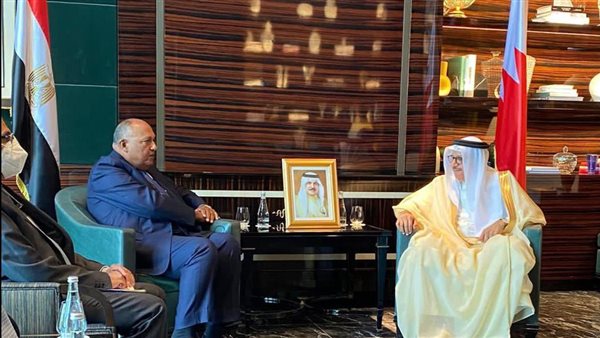 وزير الخارجية ونظيره