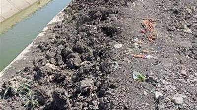 أهالي البساينة بالشرقية يطالبون الري بإنقاذ أراضيهم من البوار بسبب مخلفات ترعة المعتر تلراك