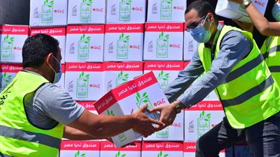 تحيا مصر يوزع 47 طنًا من المواد الغذائية والدواجن على نحو 1500 أسرة