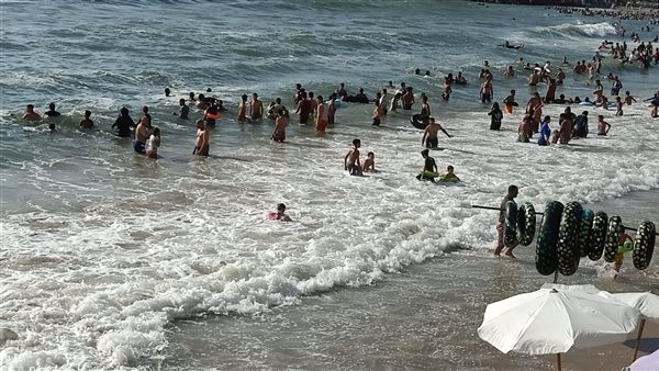 شواطئ الإسكندرية