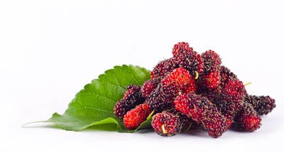 أبرزها علاج حب الشباب والقضاء على الهالات السوداء.. 5 فوائد للتوت الأحمر للبشرة