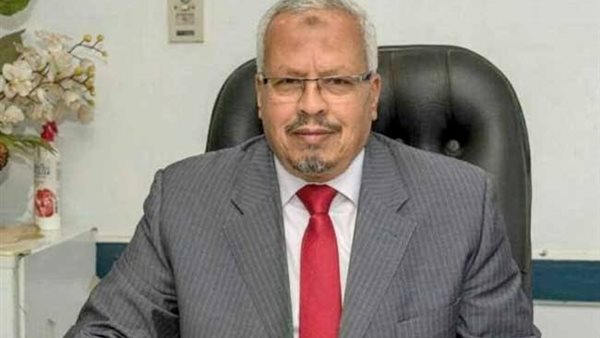 المهندس محمد نجيب