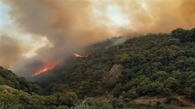 ارتفاع ضحايا الحرائق في الجزائر إلى 65 بينهم 37 مدنيًّا و28 عسكريًّا 