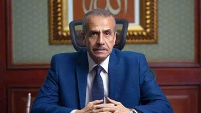 رئيس «المركزي للإحصاء»: مصر تشهد حالتي زواج كل دقيقة