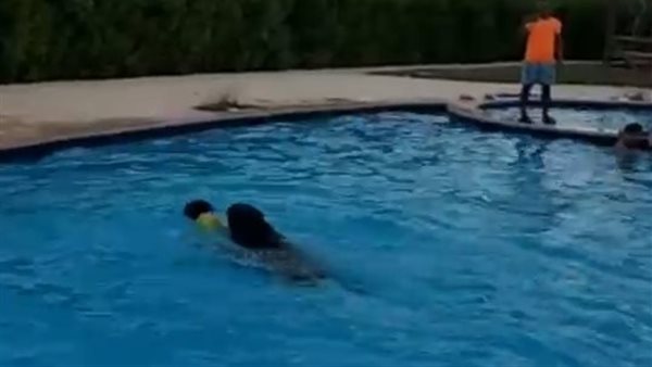 كلب يعقر طفل بحمام