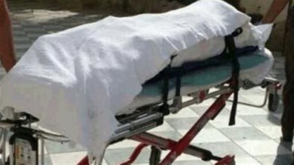  مصرع كهربائي صعقًا