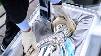 وصول كأس السوبر الأوروبي إلى ملعب ويندسور بارك