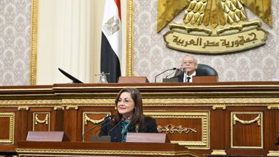 هالة السعيد: قانون التخطيط يهدف لخفض نسب البطالة وتقديم خدمات لائقة للمواطنين