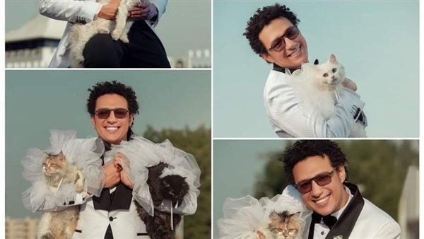 الشاب والقطط