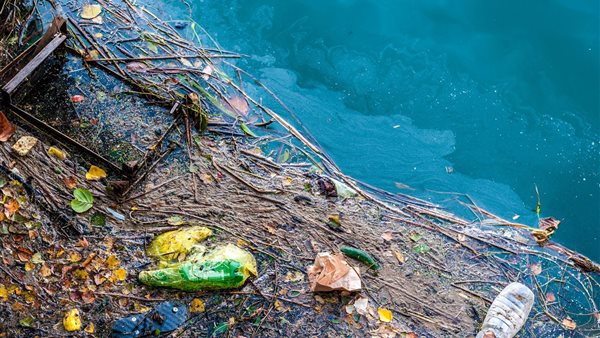 تلوث مياه البحر