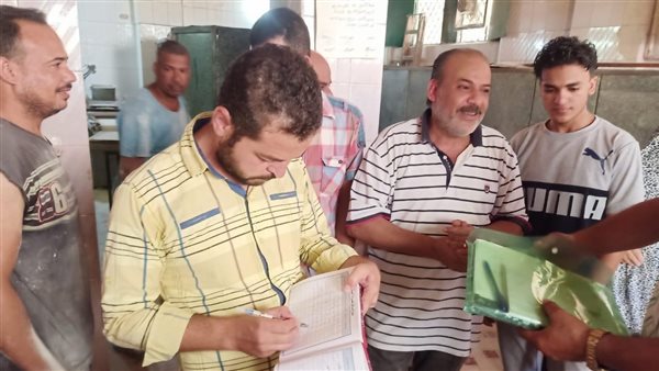 حملة غرب الإسكندرية