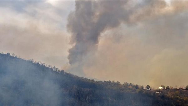 حرائق الغابات الجزائرية