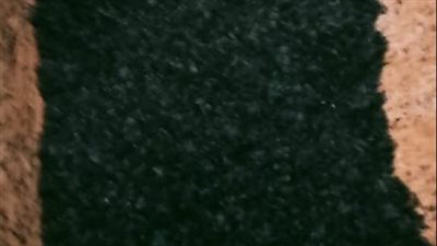 ضبط مصنع لإنتاج المعسل والتبغ لاستخدامه مواد مجهولة المصدر بالبحيرة(صور)