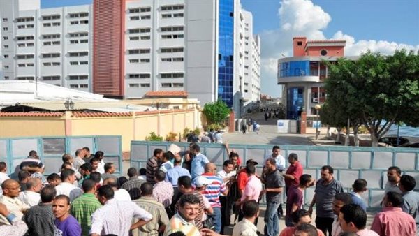 عمال الشركة - صورة