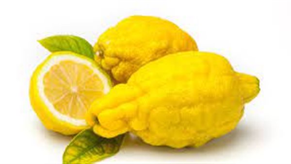  فاكهة الترنج