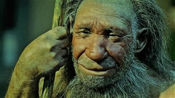 جينوم دينيسوفان