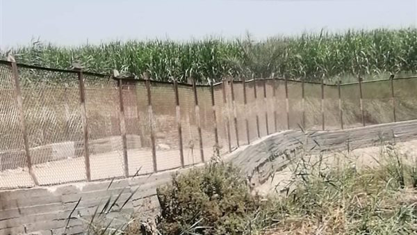 كوبري جزيرة الحمودي