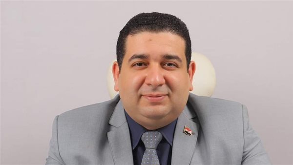 المهندس محمد ربيع