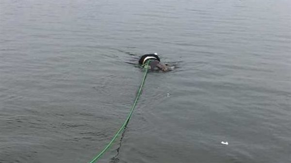 غرق - تعبيرية