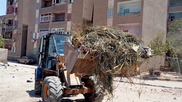 حملة نظافة بأسيوط