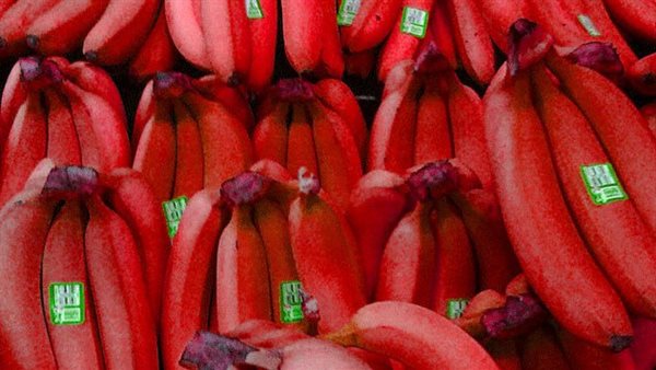 الموز الأحمر