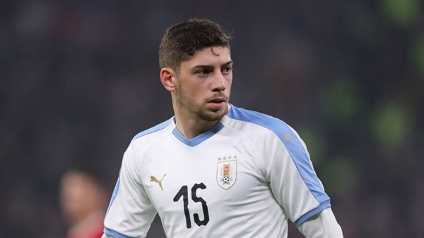 فيدي فالفيردي