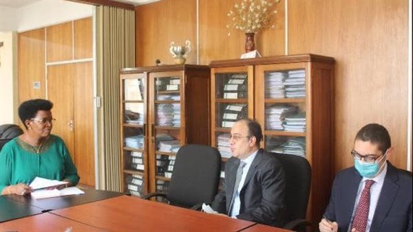 السفير المصري مع