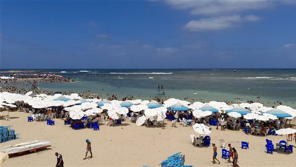 هدوء على شواطئ الإسكندرية