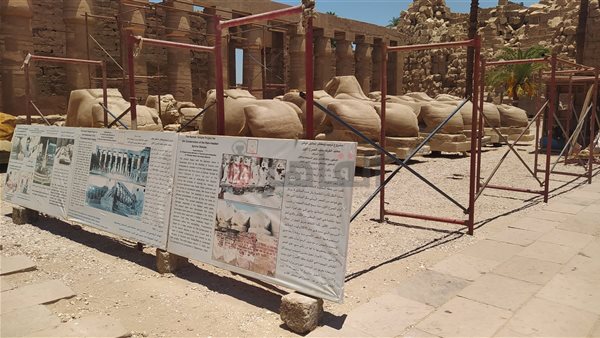 تطوير الكباش