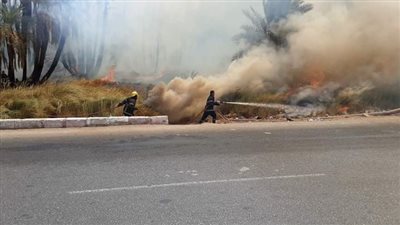 السيطرة على حريق بمنطقة زراعية بالكورنيش الجديد بأسوان