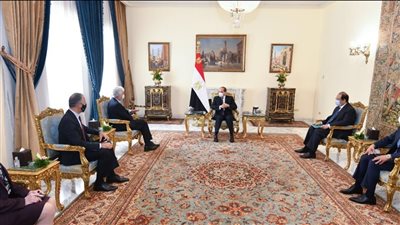السيسي يبحث ملف سد النهضة مع مدير الاستخبارات الأمريكية