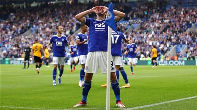 ليستر سيتي يفوز على وولفرهامبتون.. وأستون فيلا يسقط أمام واتفورد بالدوري الإنجليزي