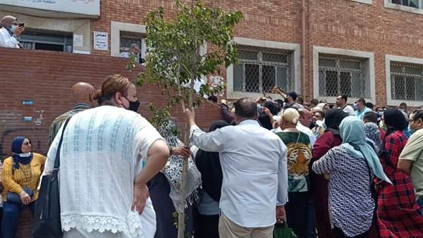 مراكز اسكندرية لتلقي