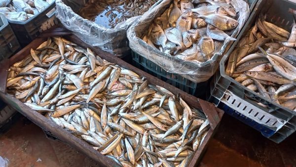 سوق السمك - شمال