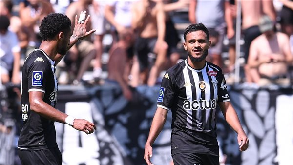 ليون وأنجير