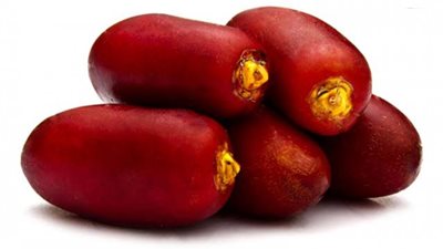  أبرزها القضاء على فقر الدم..ما هي فوائد البلح الأحمر؟