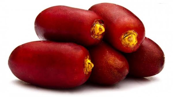 البلح الأحمر