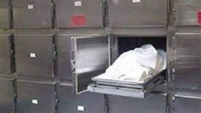 مصرع شخص إثر انقلاب توك توك في المنيا