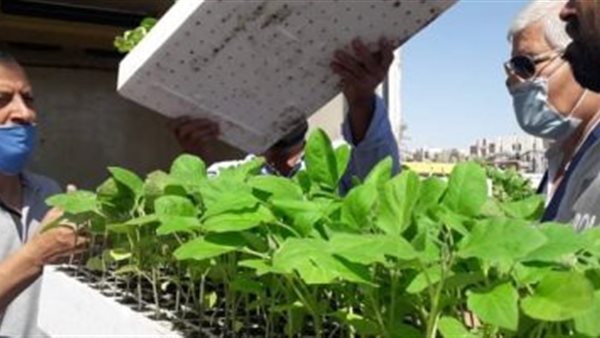 صورة تعبيرية